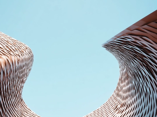 vignette de l'étude