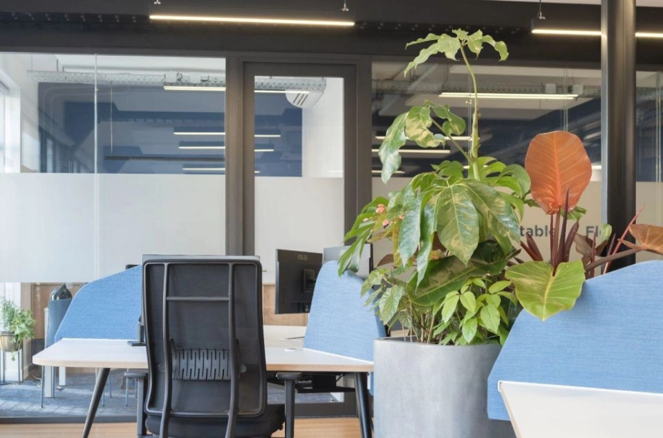 location bureaux Paris-2 de 246 m²- Photo4